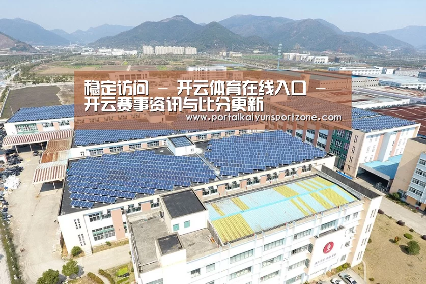 案例展示二