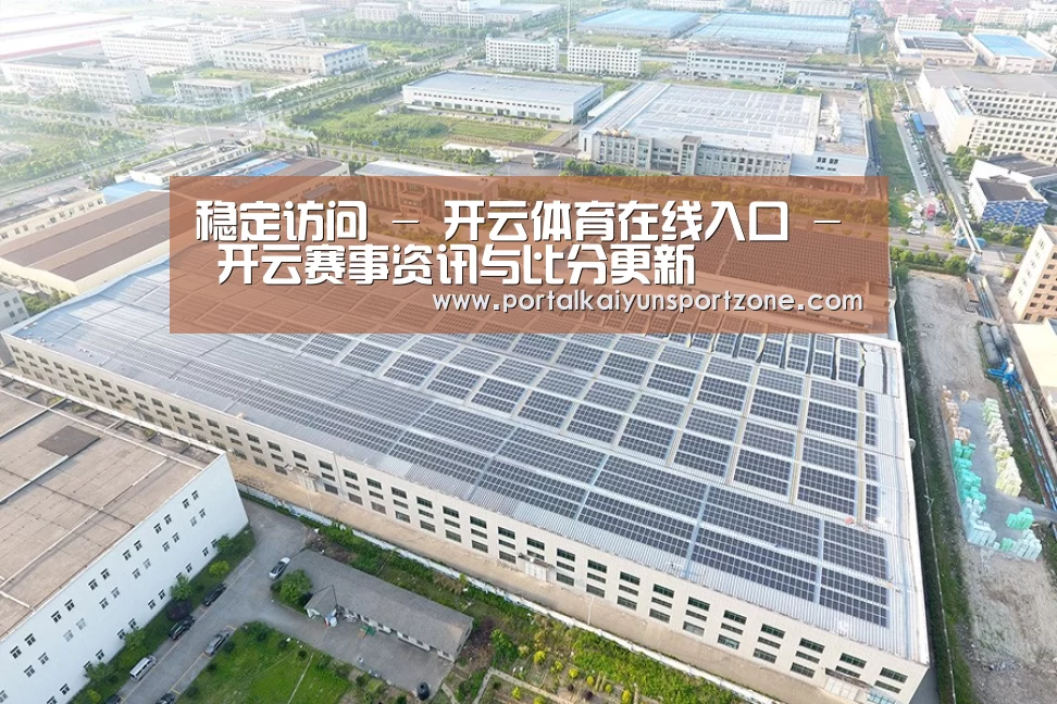 案例展示二