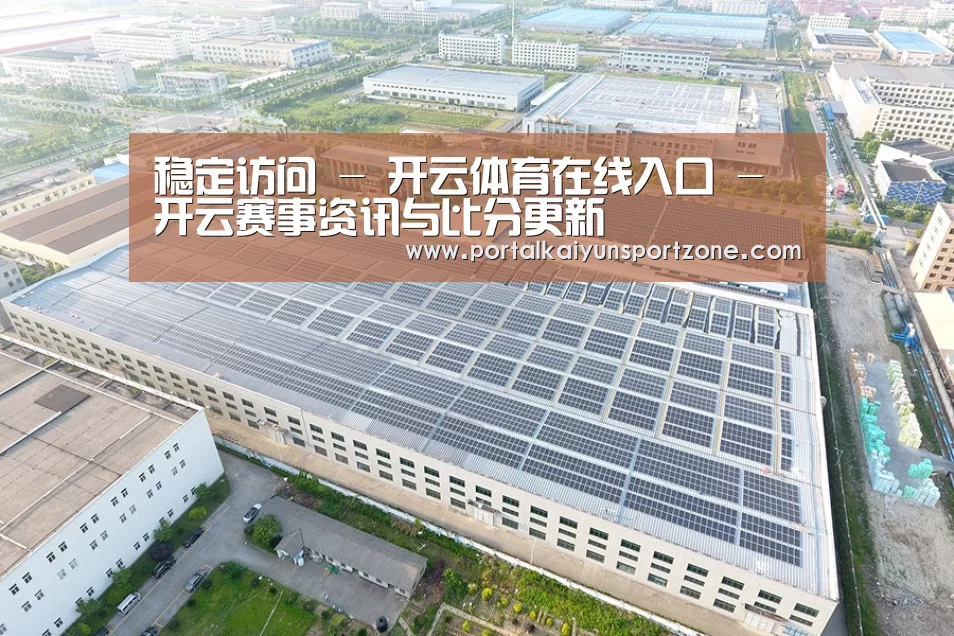 案例展示一
