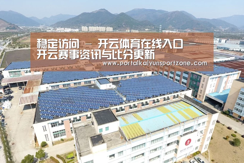 案例展示四