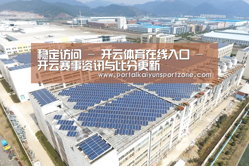 案例展示四