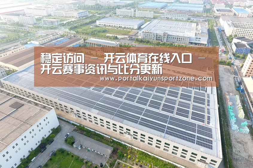 案例展示三