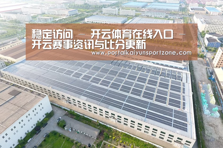 案例展示二