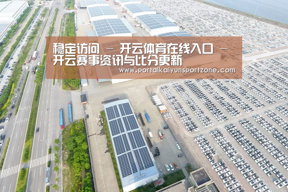 案例展示一