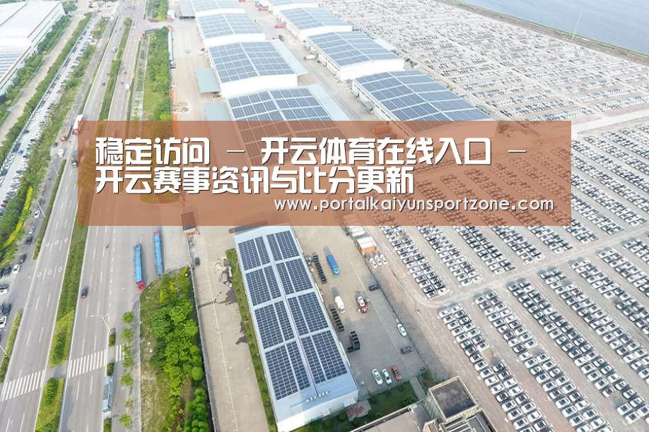 案例展示三