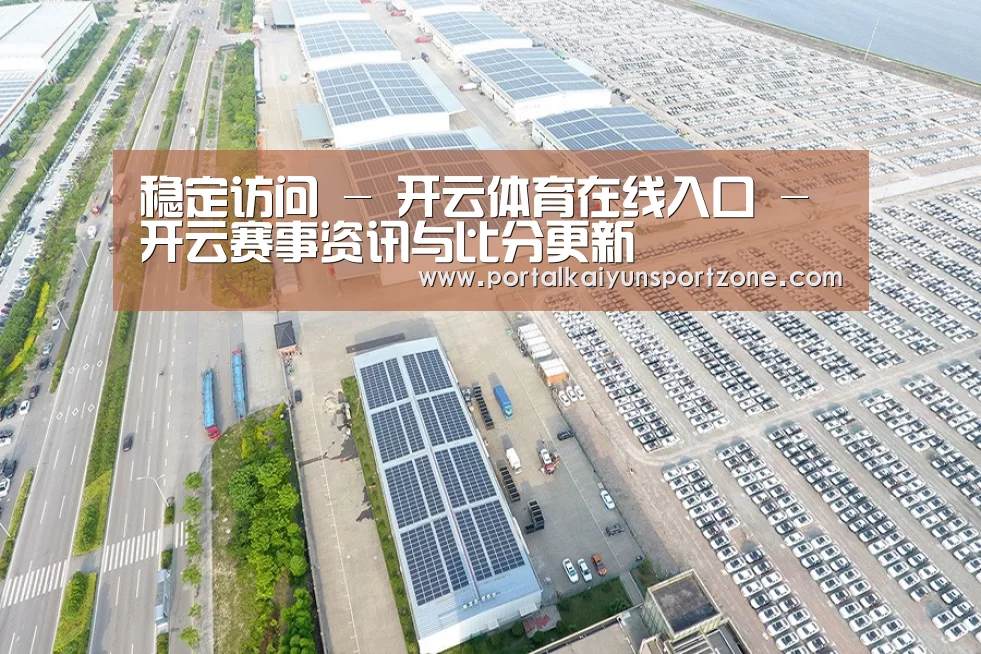 案例展示四