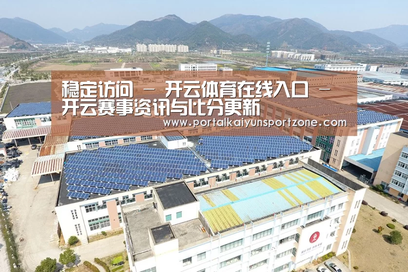 案例展示三