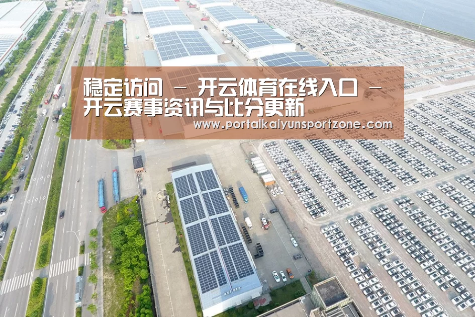 案例展示二