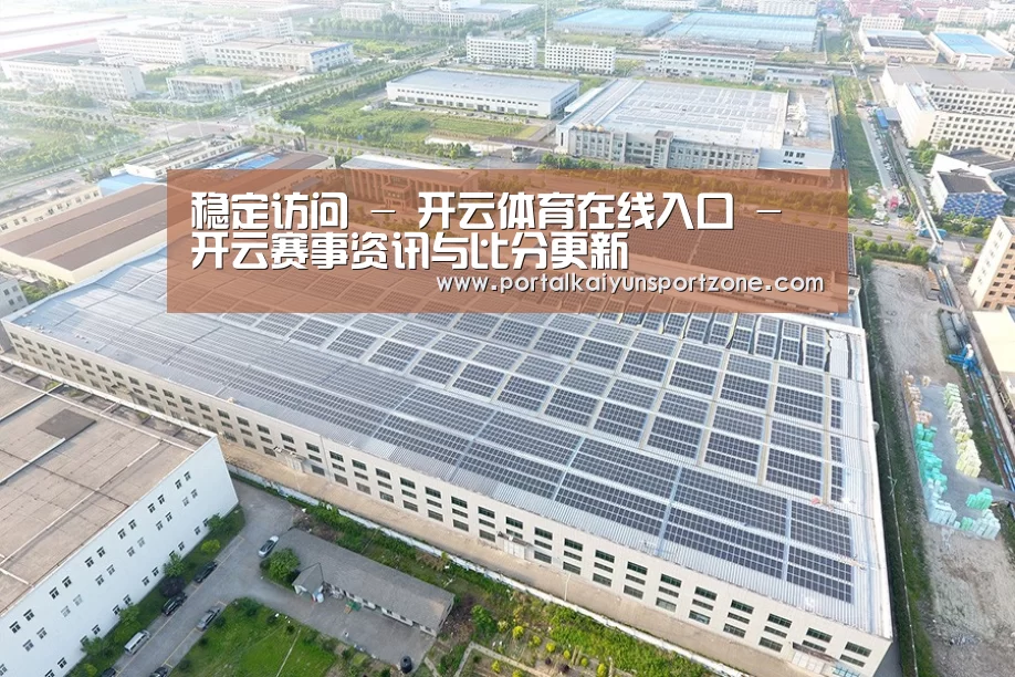 案例展示四