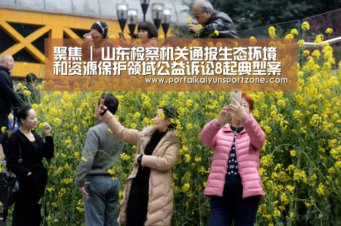 KAIYUN官网
