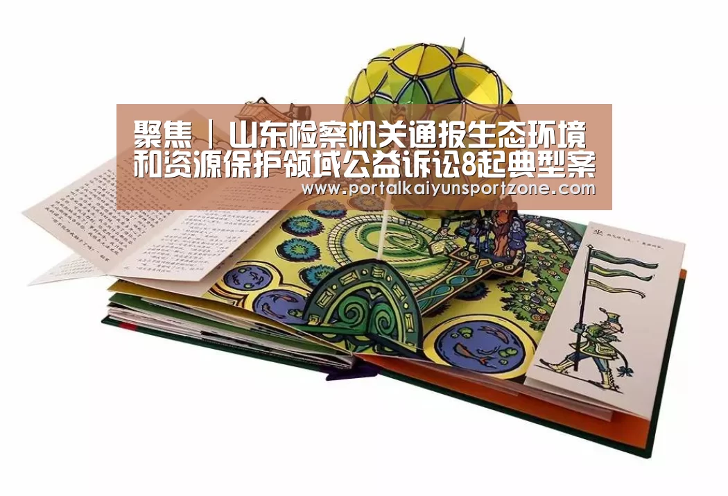 开云体育直播