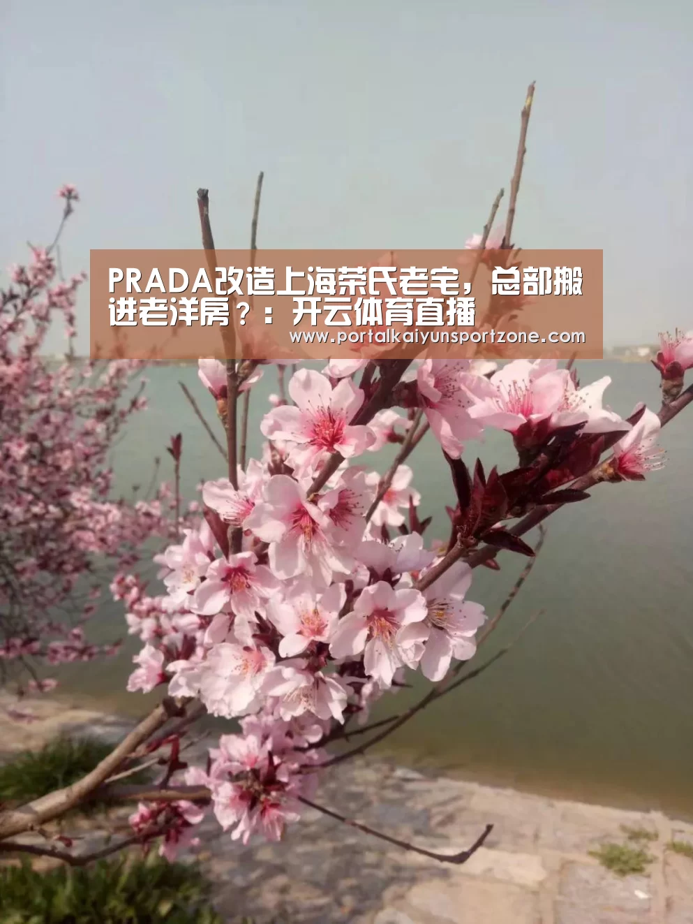 开云赛事