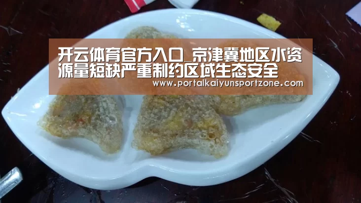 开云体育官方入口