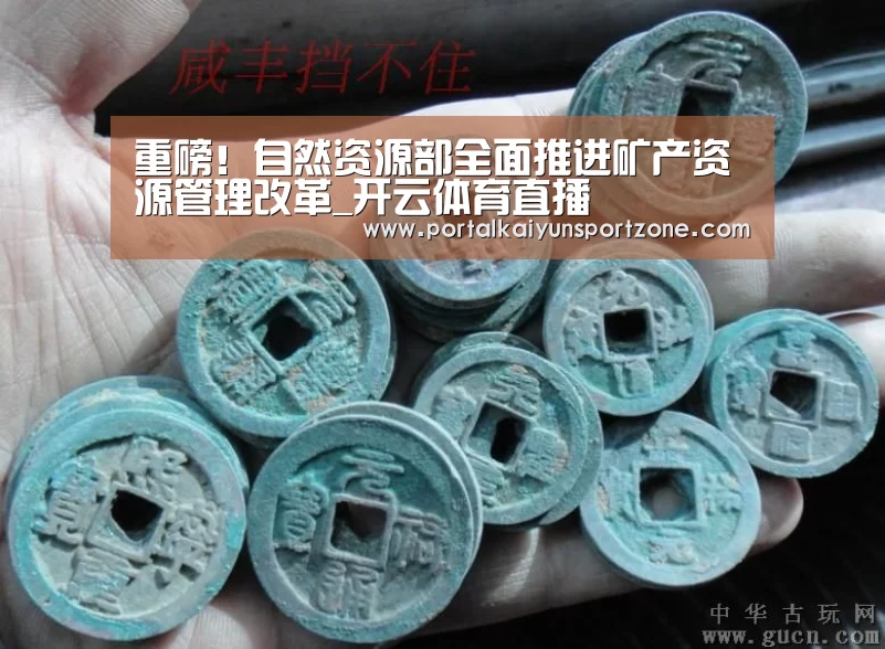 重磅!自然资源部全面推进矿产资源管理改革_开云体育直播(图1) 开云体育官方入口