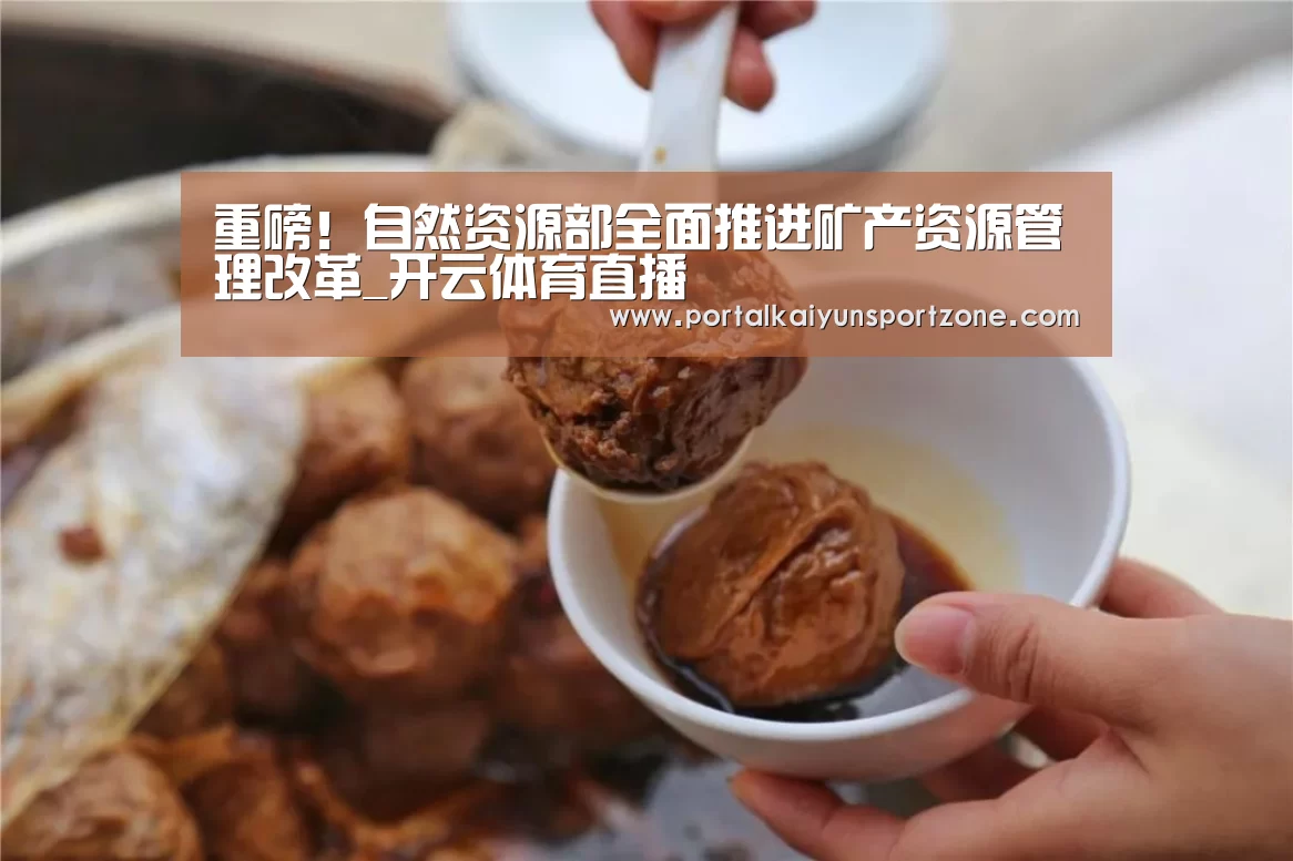 重磅!自然资源部全面推进矿产资源管理改革_开云体育直播(图2) 开云赛事