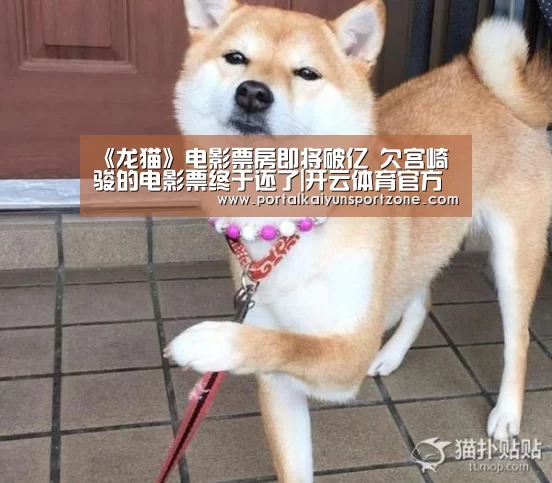 《龙猫》电影票房即将破亿 欠宫崎骏的电影票终于还了|开云体育官方入口(图3) KAIYUN官网