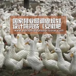 国家林业局调查规划设计院完成《安徽肥东管湾国家湿地公园修建性详细规划》外业调查_KAIYUN官网(图1) 开云体育官方入口